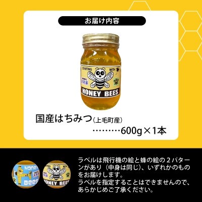 国産はちみつ(上毛町産)600g×1本