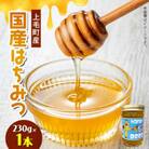 国産はちみつ(上毛町産)230g×1本