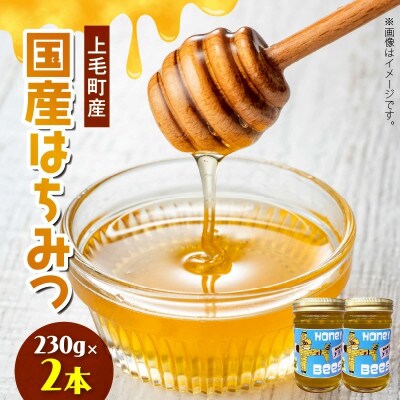 国産はちみつ(上毛町産)230g×2本