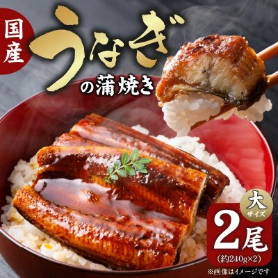国産うなぎの蒲焼き大サイズ(約240g)×2尾