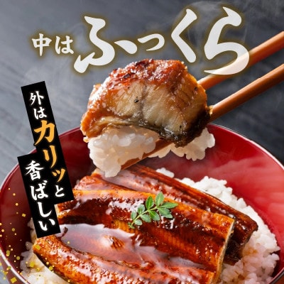 国産うなぎの蒲焼き大サイズ(約240g)×2尾