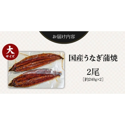 国産うなぎの蒲焼き大サイズ(約240g)×2尾