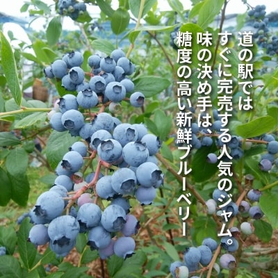 【叶え屋】上毛町産ブルーベリージャム135g×5本
