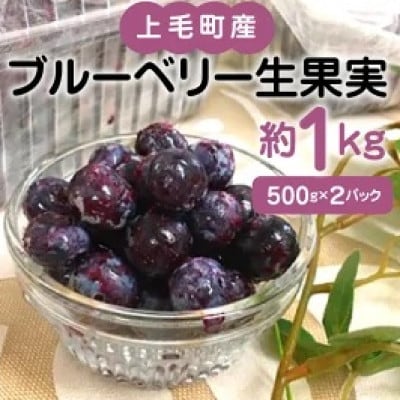 上毛町産ブルーベリー　生果実　500g×2パック
