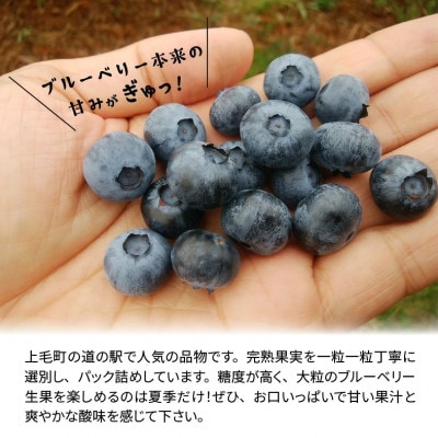 上毛町産ブルーベリー　生果実　500g×2パック