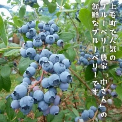 上毛町産ブルーベリー　生果実　500g×2パック
