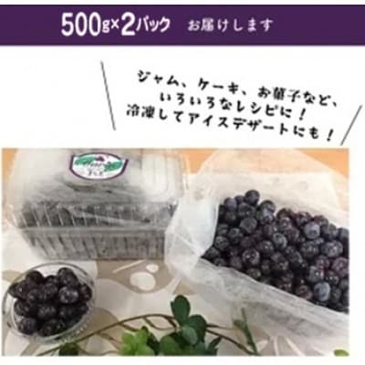 上毛町産ブルーベリー　生果実　500g×2パック