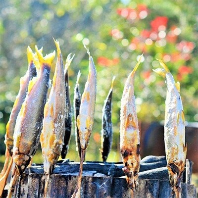 山国川で育った 天然鮎 650g(5~10尾)