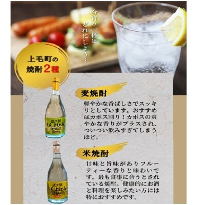 道の駅しんよしとみ遺跡前 オリジナル焼酎720ml(麦・米)3本セット
