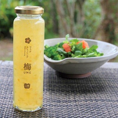 無添加手作り 梅サラダドレッシング(180ml×3本)