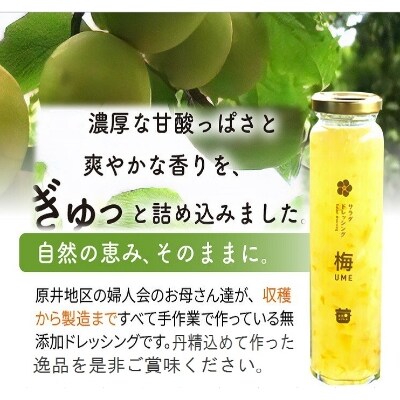 無添加手作り 梅サラダドレッシング(180ml×3本)