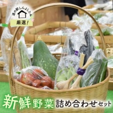 道の駅厳選　新鮮野菜詰め合わせ(約10種類)