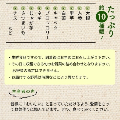 道の駅厳選　新鮮野菜詰め合わせ(約10種類)