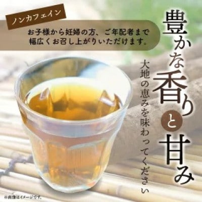 「姫かおり」焙煎ごぼう茶 500ml×24本