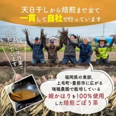 「姫かおり」焙煎ごぼう茶 500ml×24本