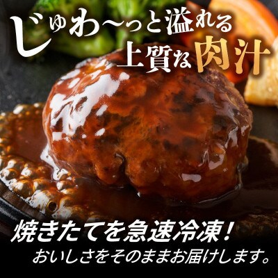 デミグラスソースハンバーグ 150g×20個セット