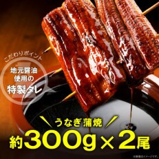 うなぎの蒲焼ビッグサイズ　2尾(計約600g)