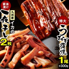 うなぎの蒲焼1尾(ビッグサイズ約300g)と九州産イカの一夜干2枚のセット