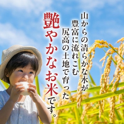 【令和6年産】松本さんが作った上毛町尻高地区産の厳選米「夢つくし」5kg