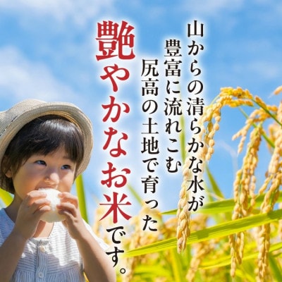 【令和6年産】松本さんが作った上毛町尻高地区産の厳選米「夢つくし」8kg