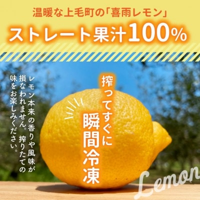 上毛町産レモン果汁(ストレート果汁100%)　500g