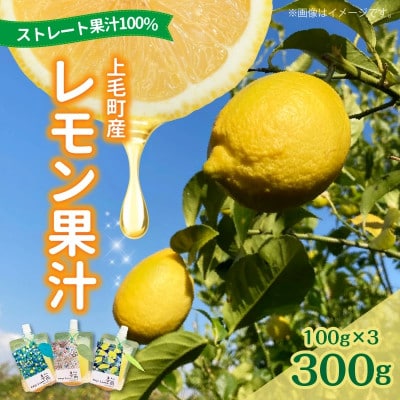 上毛町産レモン果汁(ストレート果汁100%)　300g