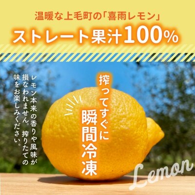 上毛町産レモン果汁(ストレート果汁100%)　300g