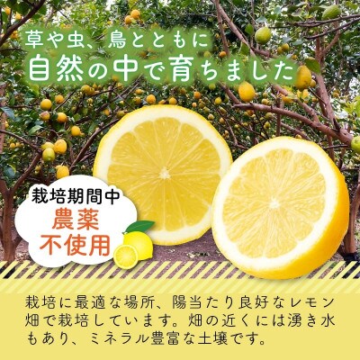 上毛町産レモン果汁(ストレート果汁100%)　300g