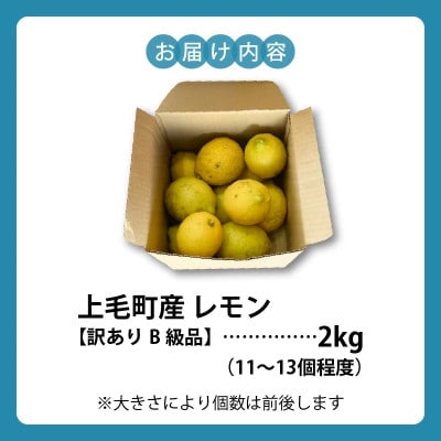 上毛レモン　B級品　2kg(11～13個程度)