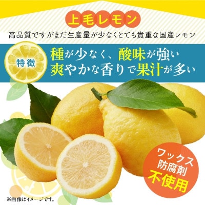 上毛レモン　B級品　5kg(25～30個程度)