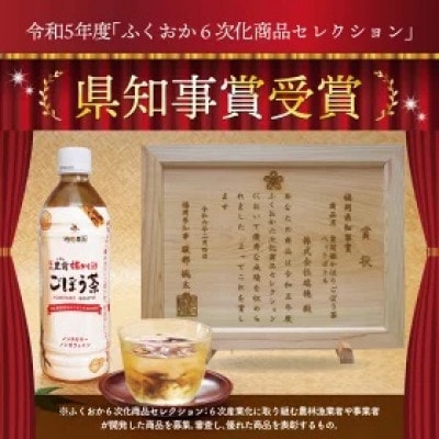 【訳あり・数量限定】「姫かおり」焙煎ごぼう茶 500ml×24本