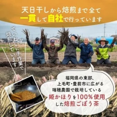 【訳あり・数量限定】「姫かおり」焙煎ごぼう茶 500ml×24本