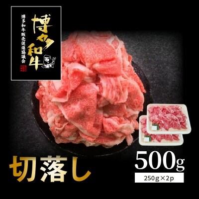 博多和牛切り落とし500g(250g×2p)