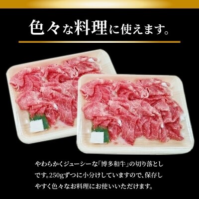 博多和牛切り落とし500g(250g×2p)