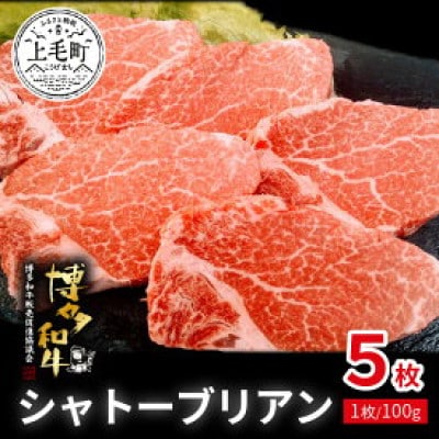 博多和牛シャトーブリアン 100g×5枚