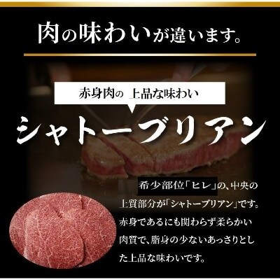 博多和牛シャトーブリアン 100g×5枚