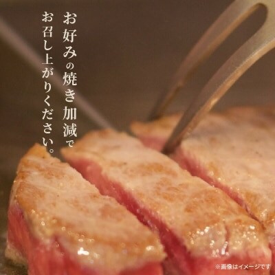 博多和牛シャトーブリアン 100g×5枚