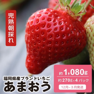 【完熟朝採れ】福岡県産ブランドいちご(12月~4月発送) あまおう 約270g×4パック