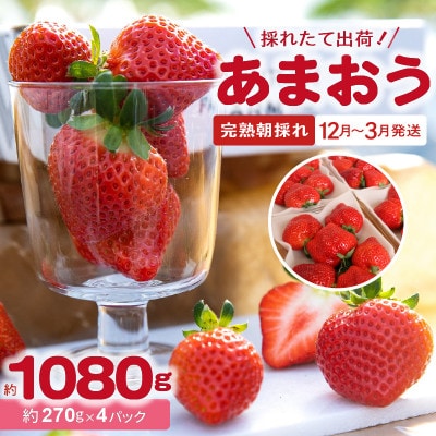 【完熟朝採れ】福岡県産ブランドいちご(12月～3月発送)　あまおう　約270g×4パック