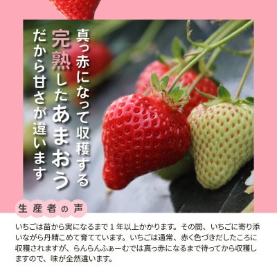 【完熟朝採れ】福岡県産ブランドいちご(12月～3月発送)　あまおう　約270g×4パック