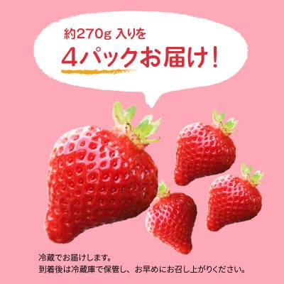 【完熟朝採れ】福岡県産ブランドいちご(12月～3月発送)　あまおう　約270g×4パック