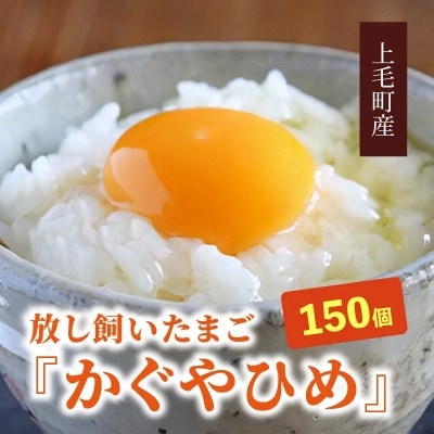 放し飼いたまご『かぐやひめ』150個【福岡上毛町産】