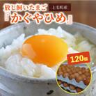 放し飼いたまご『かぐやひめ』120個【福岡上毛町産】