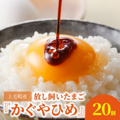 放し飼いたまご『かぐやひめ』20個【福岡上毛町産】