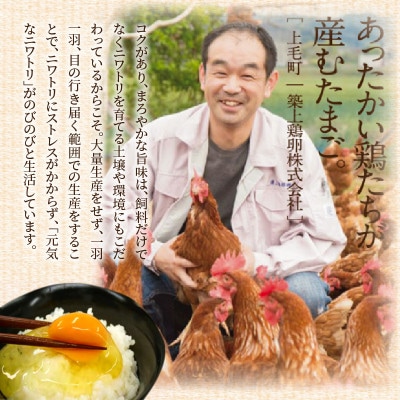 放し飼いたまご『かぐやひめ』20個【福岡上毛町産】