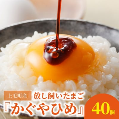 放し飼いたまご『かぐやひめ』40個【福岡上毛町産】