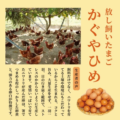 放し飼いたまご『かぐやひめ』40個【福岡上毛町産】