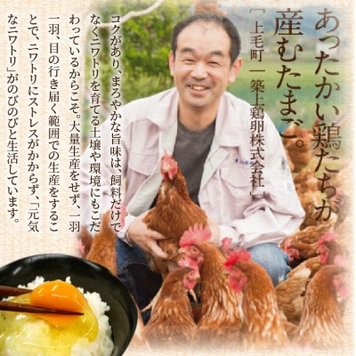 放し飼いたまご[かぐやひめ]30個【福岡上毛町産】