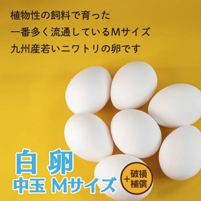 けいちゃんたまご　白　Mサイズ　160個