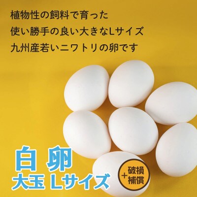 けいちゃんたまご　白　Lサイズ　 150個